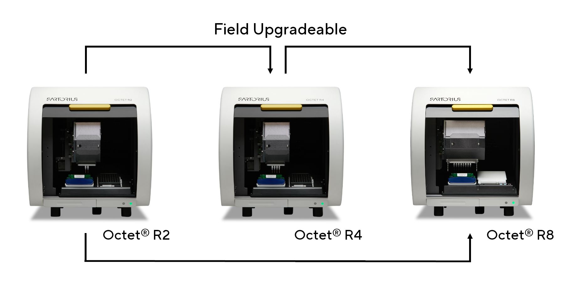 Octet_upgrade.jpg (85 KB)